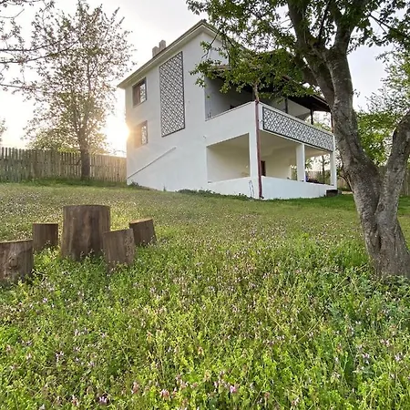 Sapanca Mohti Villa Villa